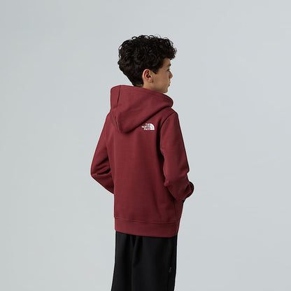 Teens' Drew Peak Pullover Hoodie